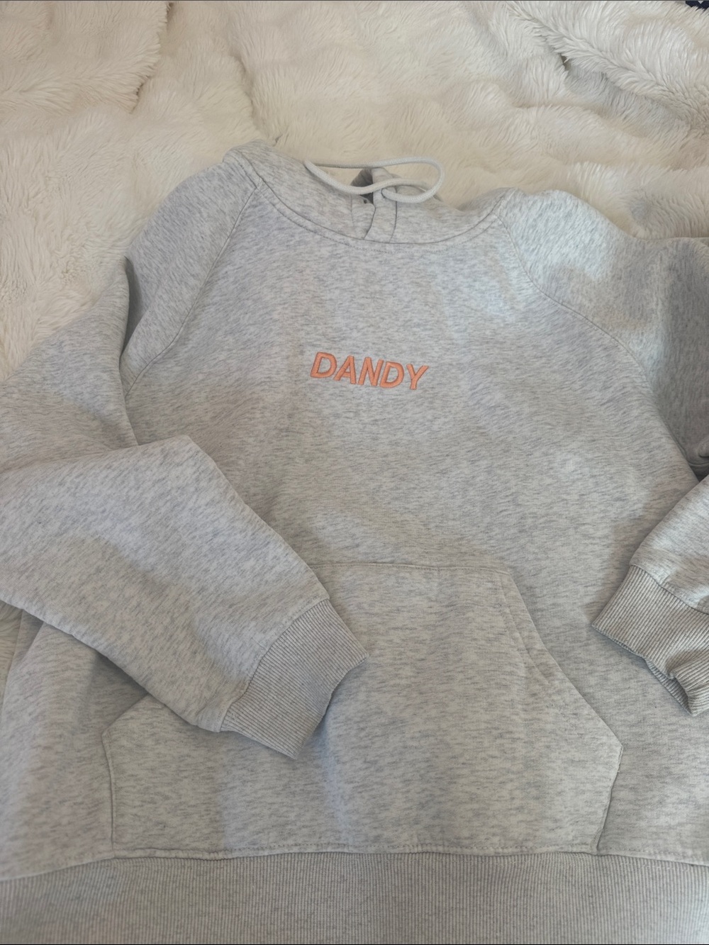 Gray 'Dandy' Pullover Hoodie Sweatshirt